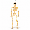 Esqueleto Humano Articulado com Led 40cm para Decoração de Halloween